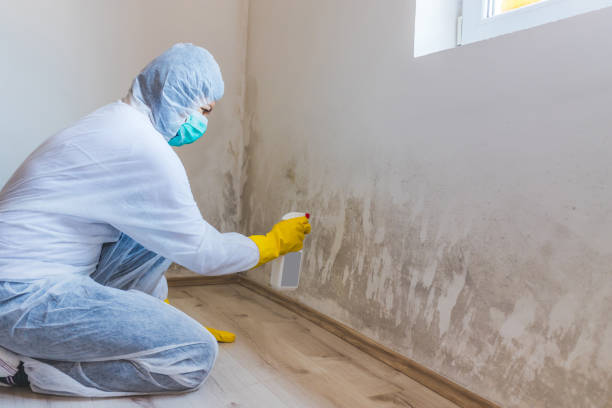 Mold Removal and Inspection in Belmont Estates, VA
