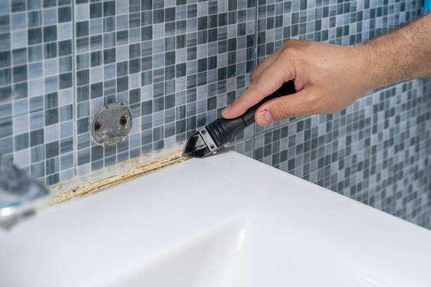 Mold Removal Process in Belmont Estates, VA