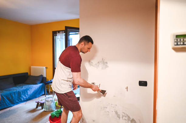 Best Office Mold Removal Services  in Belmont Estates, VA
